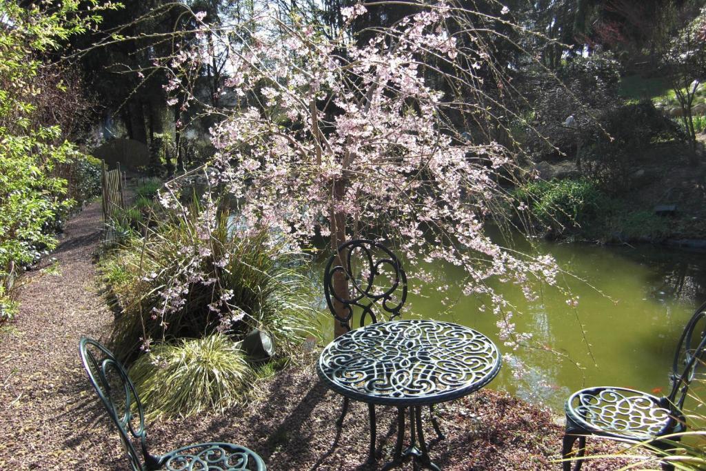 La Chandanielerie Quimper Exteriér fotografie